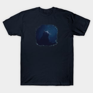 Cat night T-Shirt